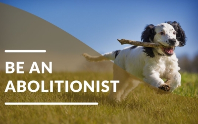 Be an Abolitionist