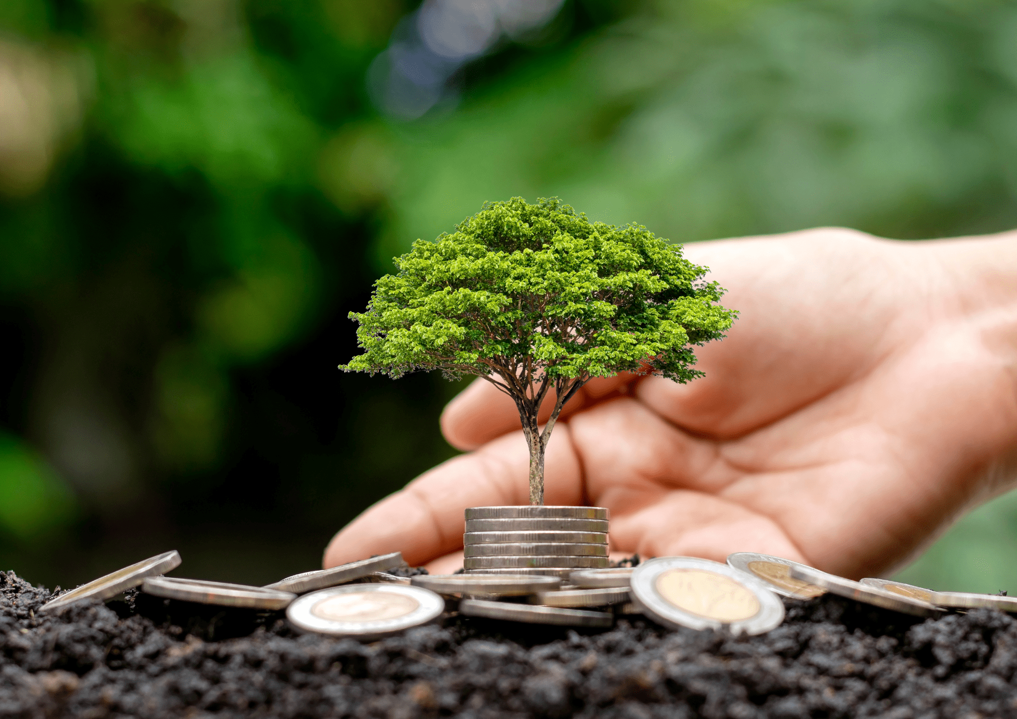 equity sponsorship Image of AAPI team